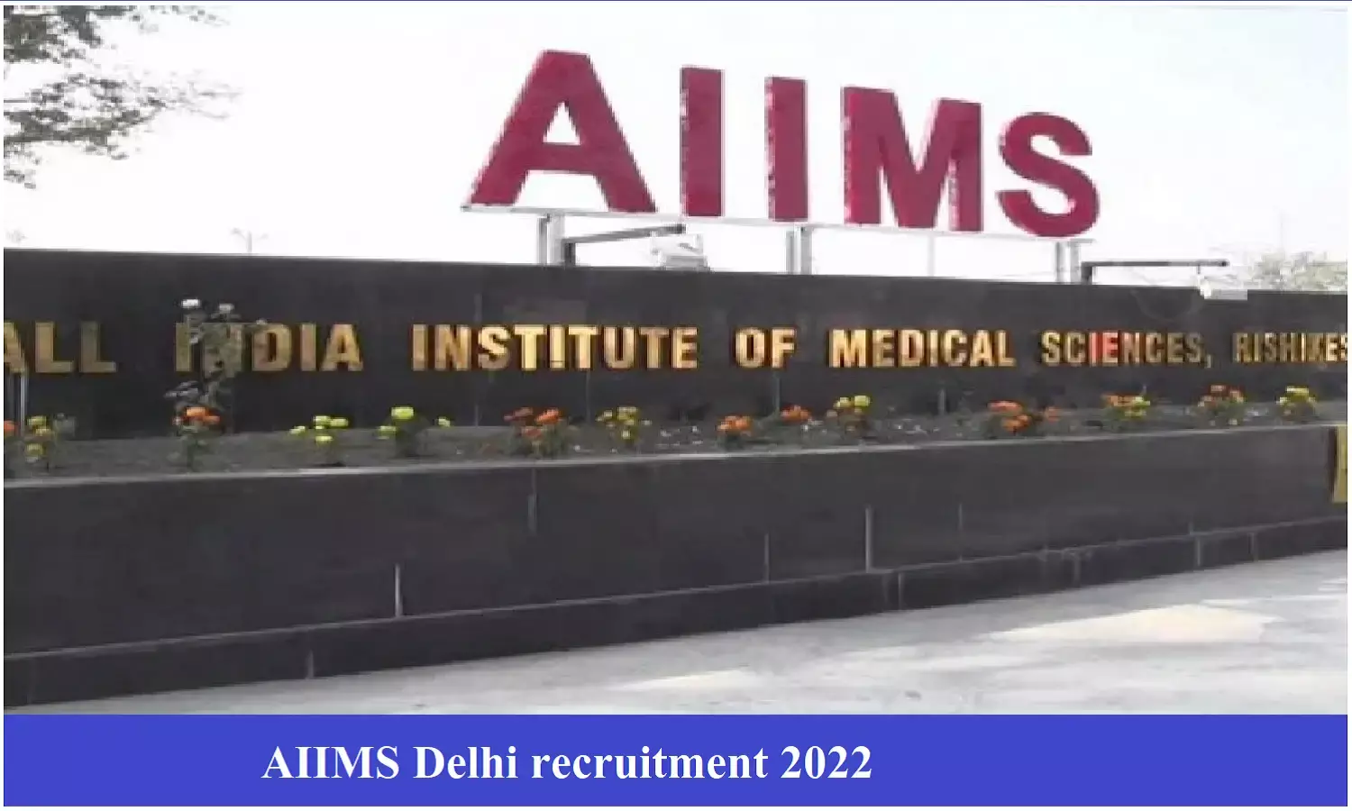 AIIMS Delhi recruitment 2022; एम्स दिल्ली में निकली फैकल्टी पदों पर भर्तियां, जल्द करे आवेदन AIIMS Delhi recruitment 2022; एम्स दिल्ली में निकली फैकल्टी पदों पर भर्तियां, जल्द करे आवेदन