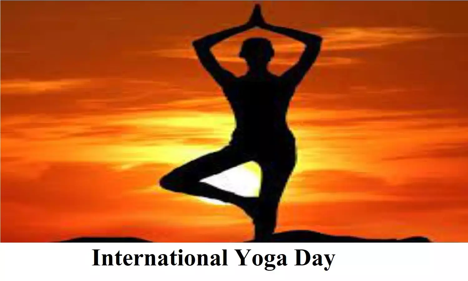 International Yoga Day पर बॉलीवुड हसीनाओं ने शेयर की योगा करते हुए तस्वीरे, तो वही सबका दिल जीत लिया करीना कपूरे के बेटे Jeh की योगा करते हुए तस्वीर ने International Yoga Day पर बॉलीवुड हसीनाओं ने शेयर की योगा करते हुए तस्वीरे, तो वही सबका दिल जीत लिया करीना कपूरे के बेटे Jeh की योगा करते हुए तस्वीर ने