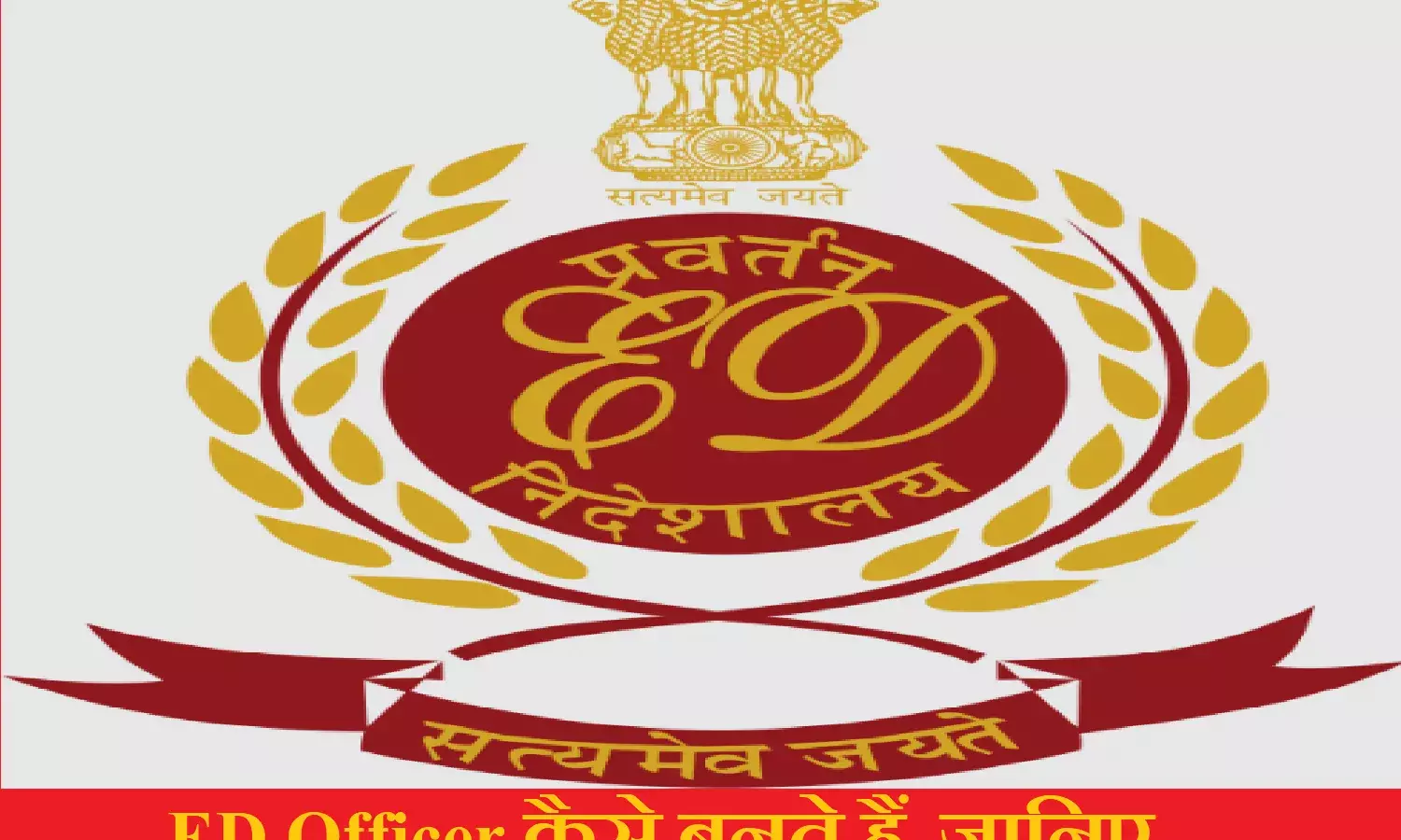 ED में ऑफिसर बनना चाहते तो आपके पास होनी चाहिए बस ये योग्यता ED में ऑफिसर बनना चाहते तो आपके पास होनी चाहिए बस ये योग्यता