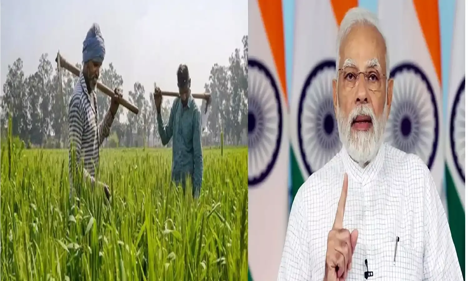 पीएम किसान योजना का चाहिए लाभ, तो ऐसे करे रजिस्ट्रेशन खाते में आएगा पैसा पीएम किसान योजना का चाहिए लाभ, तो ऐसे करे रजिस्ट्रेशन खाते में आएगा पैसा