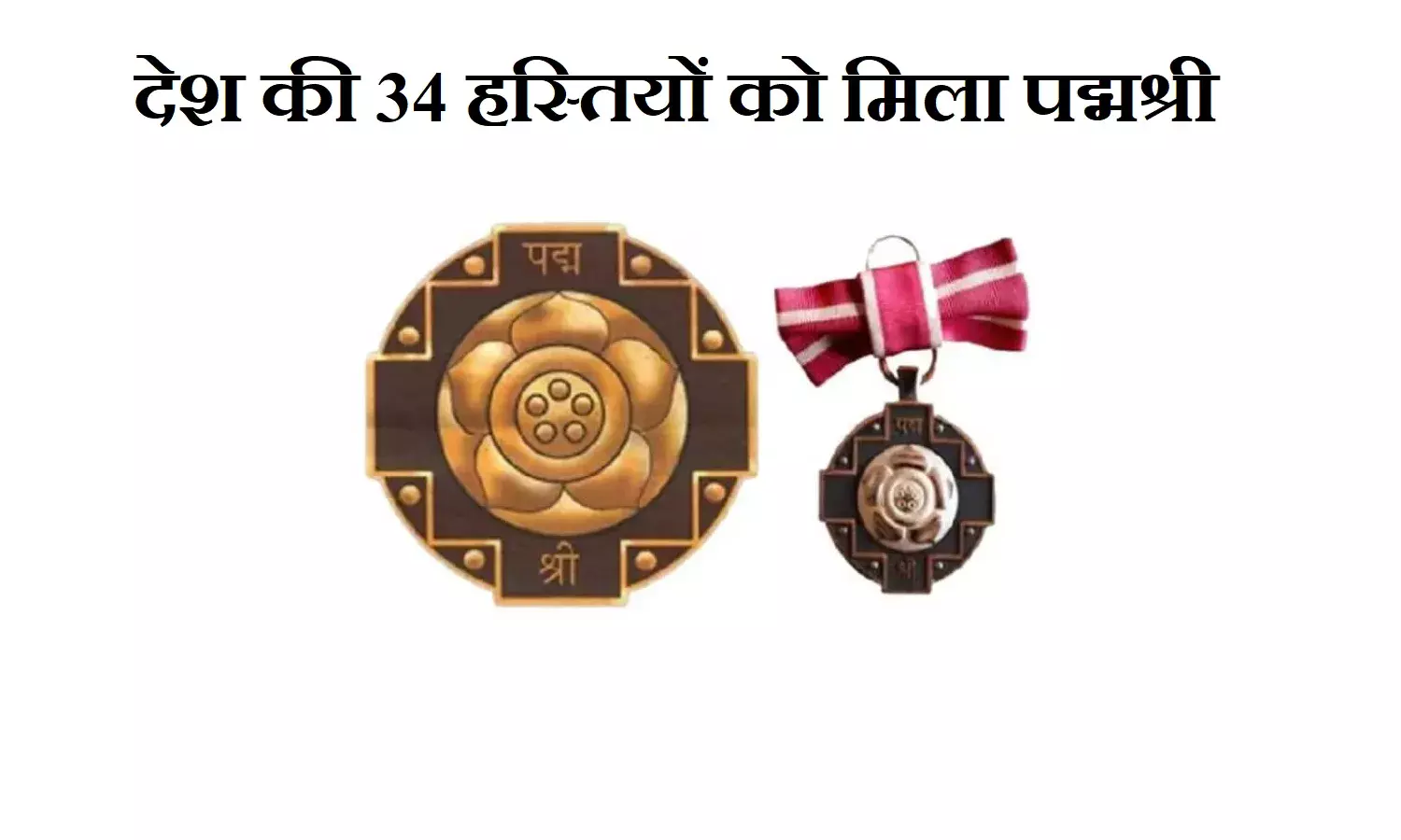 Padma Shree Award 2024: देश की पहली महिला महावत पार्वती बरुआ समेत 34 हस्तियों को मिला पद्मश्री Padma Shree Award 2024: देश की पहली महिला महावत पार्वती बरुआ समेत 34 हस्तियों को मिला पद्मश्री