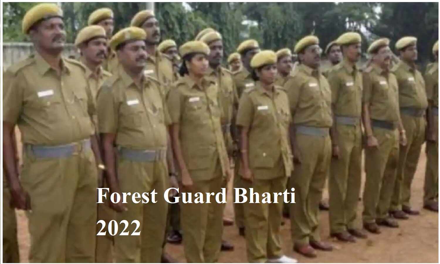 Forest Guard Bharti 2022; फारेस्ट गार्ड में जल्द ही आने वाली हैं, बम्पर भर्ती Forest Guard Bharti 2022; फारेस्ट गार्ड में जल्द ही आने वाली हैं, बम्पर भर्ती